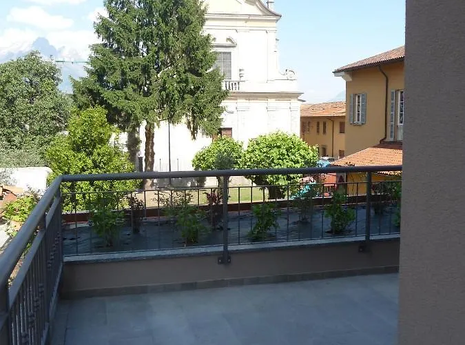 Oleandro * ドマーゾ